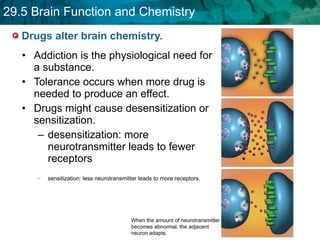 Drugs alter brain chemistry.  Addiction is the physiological need for a substance.  Tolerance occurs when more drug is needed to produce an effect. Drugs might cause desensitization or sensitization. desensitization: more neurotransmitter leads to fewer receptors sensitization: less neurotransmitter leads to more receptors.  When the amount of neurotransmitter becomes abnormal, the adjacent neuron adapts. 
