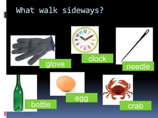 What walk sideways?
glove
clock
bottle
egg
needle
crab