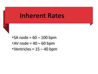 Cardiac Conduction and basic rhythm understanding | PPTX