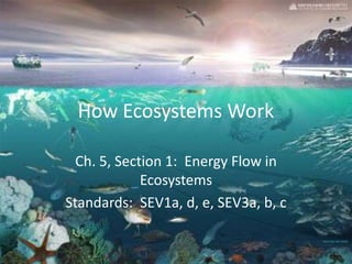 How Ecosystems Work
Ch. 5, Section 1: Energy Flow in
Ecosystems
Standards: SEV1a, d, e, SEV3a, b, c

 