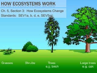 HOW ECOSYSTEMS WORK
Ch. 5, Section 3: How Ecosystems Change
Standards: SEV1a, b, d, e, SEV5c

 