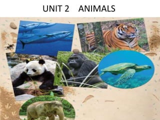 UNIT 2 ANIMALS
 