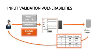 INPUT VALIDATION VULNERABILITIES
 