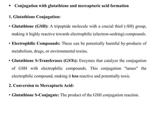 Elimination Bioavailability and Bioequivalence Unit-II | PPTX