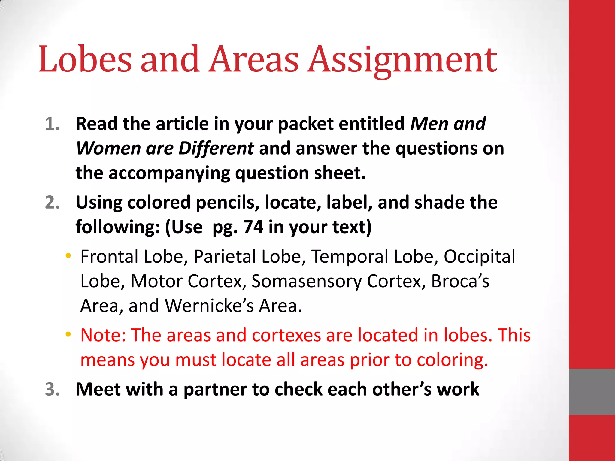 Lobes and Areas Assignment
1. Read the article in your packet entitled Men and
Women are Different and answer the questions on
the accompanying question sheet.
2. Using colored pencils, locate, label, and shade the
following: (Use pg. 74 in your text)
• Frontal Lobe, Parietal Lobe, Temporal Lobe, Occipital
Lobe, Motor Cortex, Somasensory Cortex, Broca’s
Area, and Wernicke’s Area.
• Note: The areas and cortexes are located in lobes. This
means you must locate all areas prior to coloring.
3. Meet with a partner to check each other’s work

 