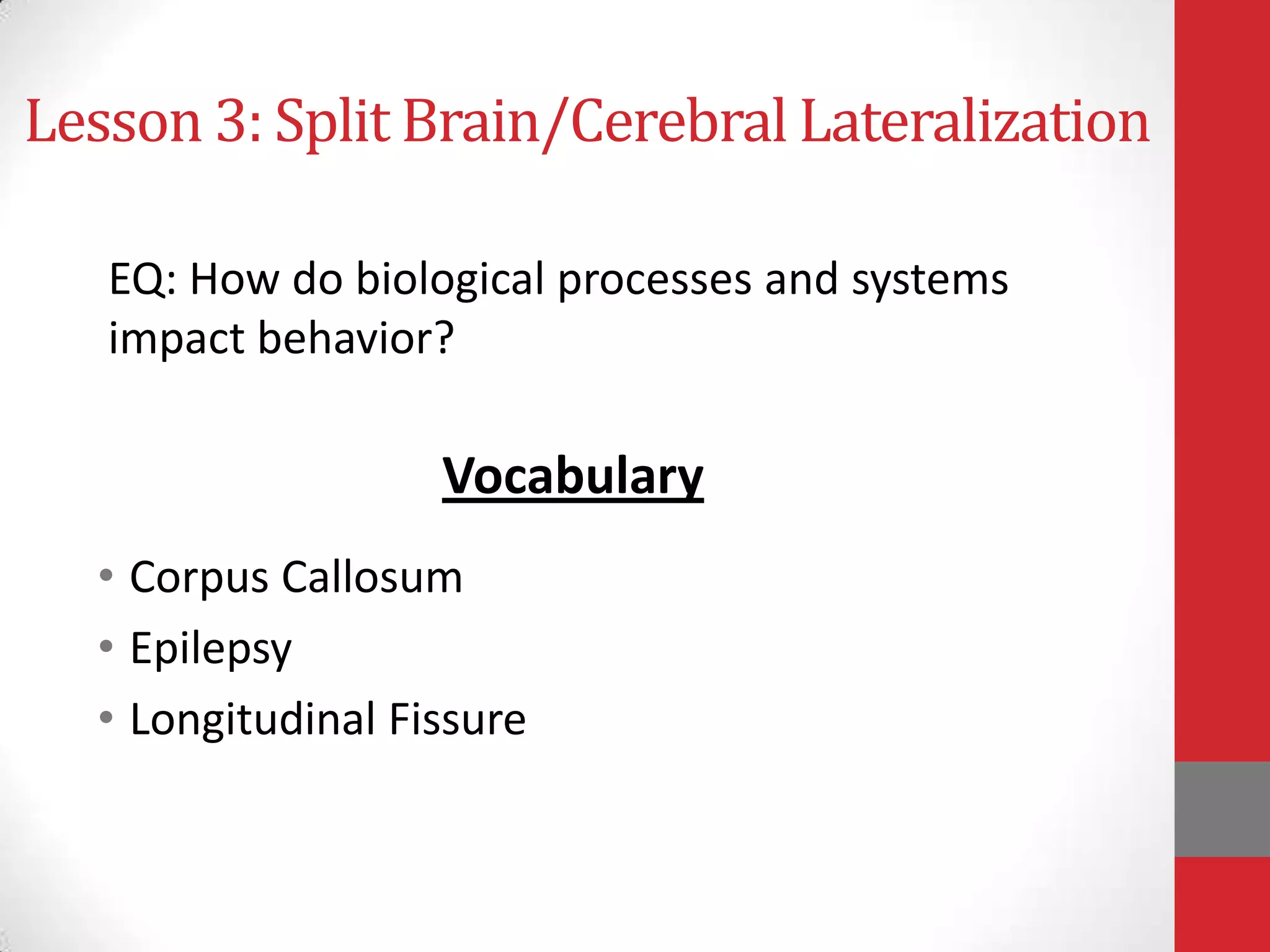 Lesson 3: Split Brain/Cerebral Lateralization
EQ: How do biological processes and systems
impact behavior?

Vocabulary
• Corpus Callosum
• Epilepsy
• Longitudinal Fissure

 