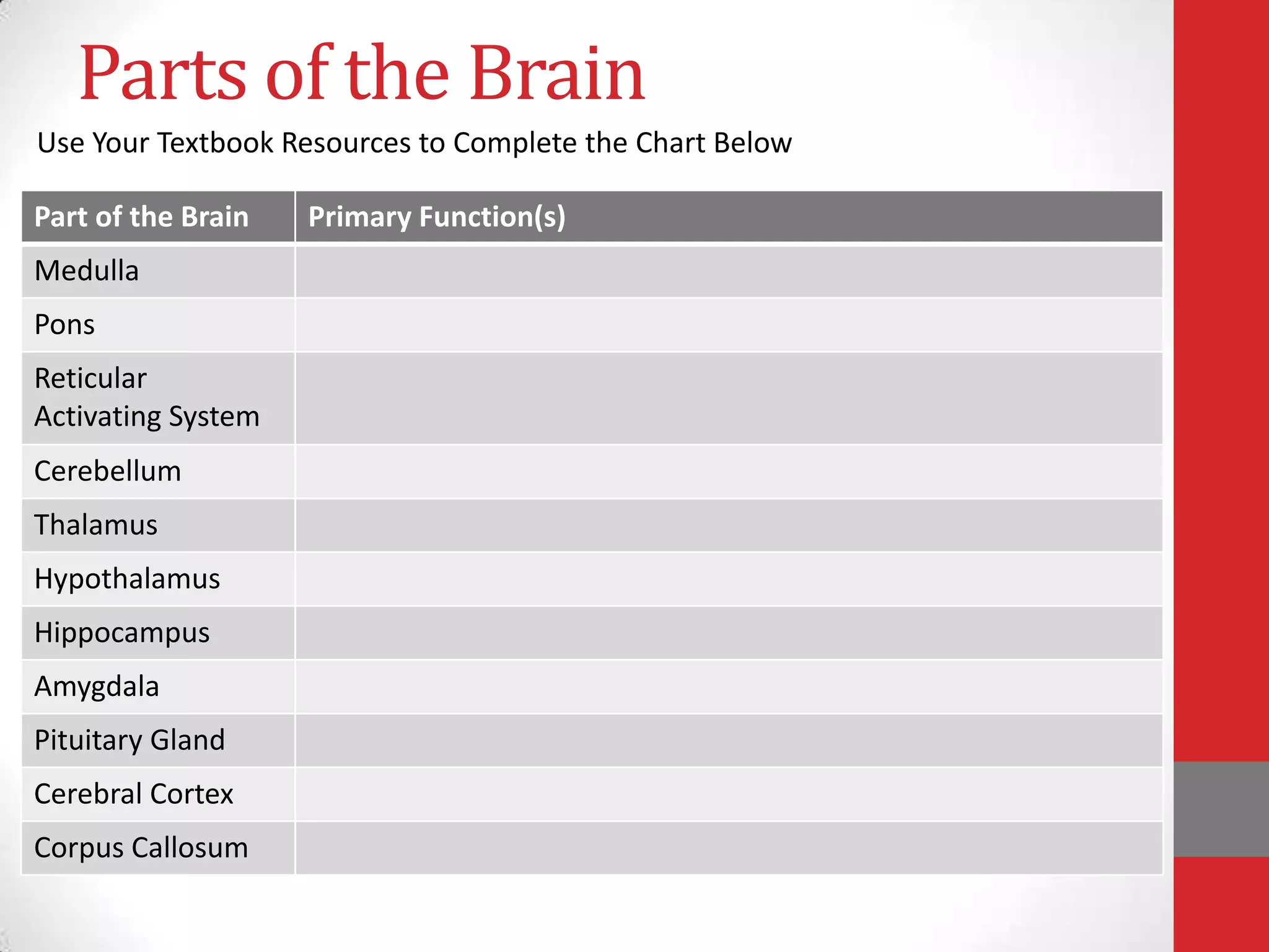 Parts of the Brain
Use Your Textbook Resources to Complete the Chart Below
Part of the Brain

Medulla
Pons
Reticular
Activating System
Cerebellum
Thalamus

Hypothalamus
Hippocampus
Amygdala
Pituitary Gland
Cerebral Cortex
Corpus Callosum

Primary Function(s)

 
