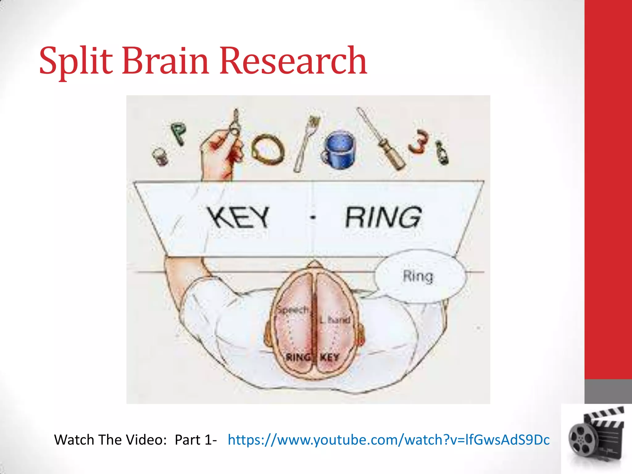 Split Brain Research

Watch The Video: Part 1- https://www.youtube.com/watch?v=lfGwsAdS9Dc

 
