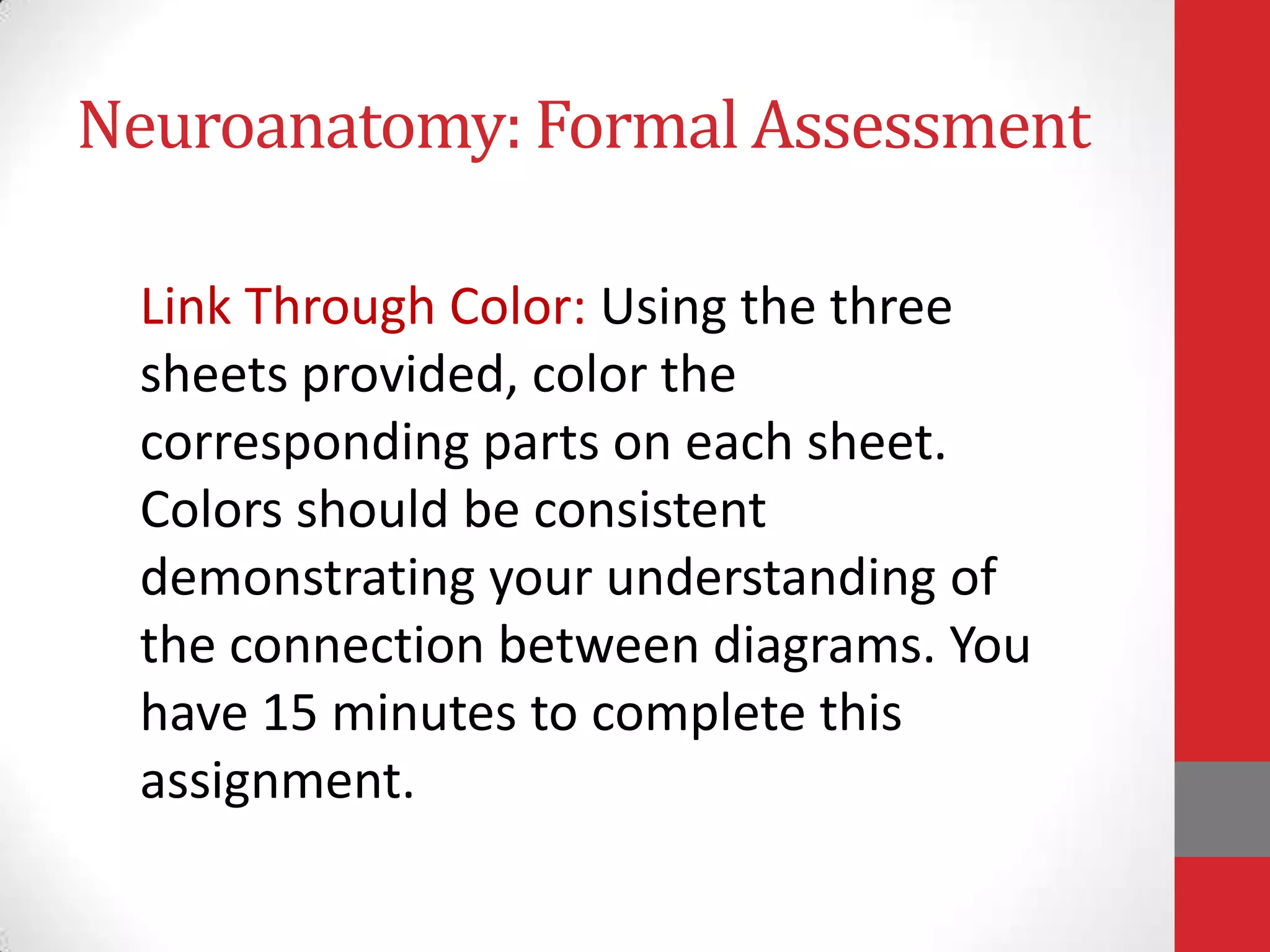 Neuroanatomy: Formal Assessment
Link Through Color: Using the three
sheets provided, color the
corresponding parts on each sheet.
Colors should be consistent
demonstrating your understanding of
the connection between diagrams. You
have 15 minutes to complete this
assignment.

 