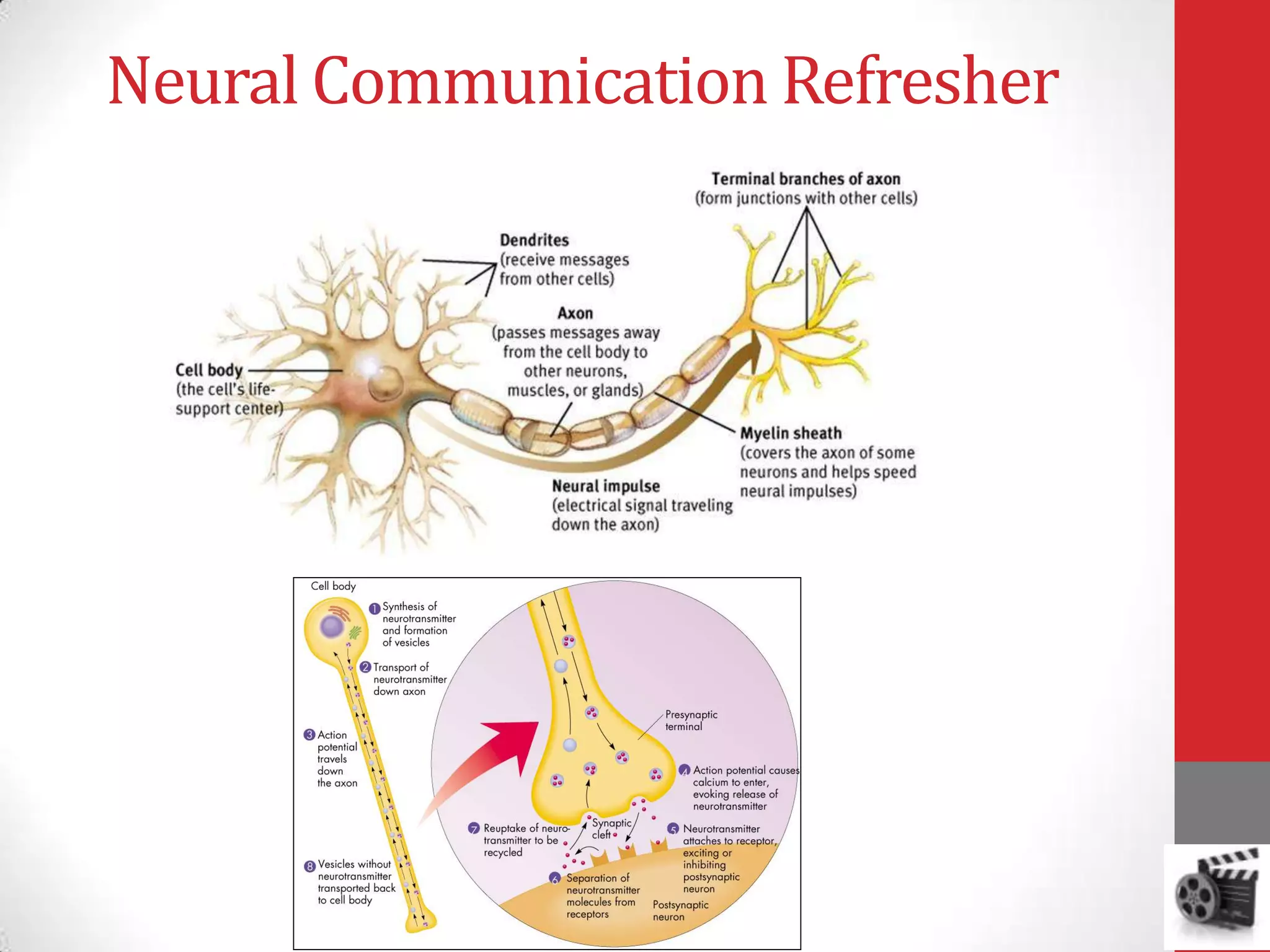 Neural Communication Refresher

 