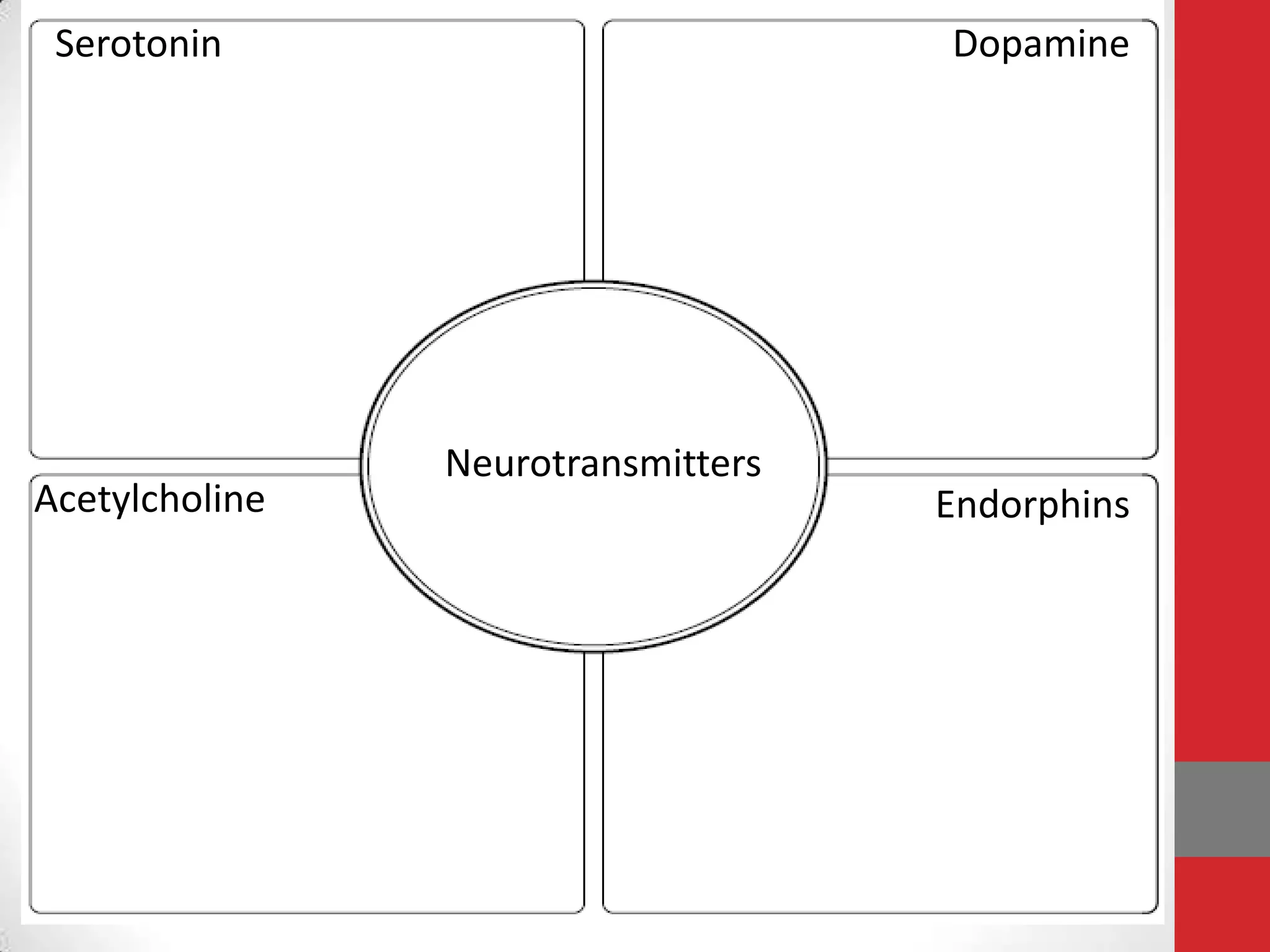 Serotonin

Acetylcholine

Dopamine

Neurotransmitters

Endorphins

 