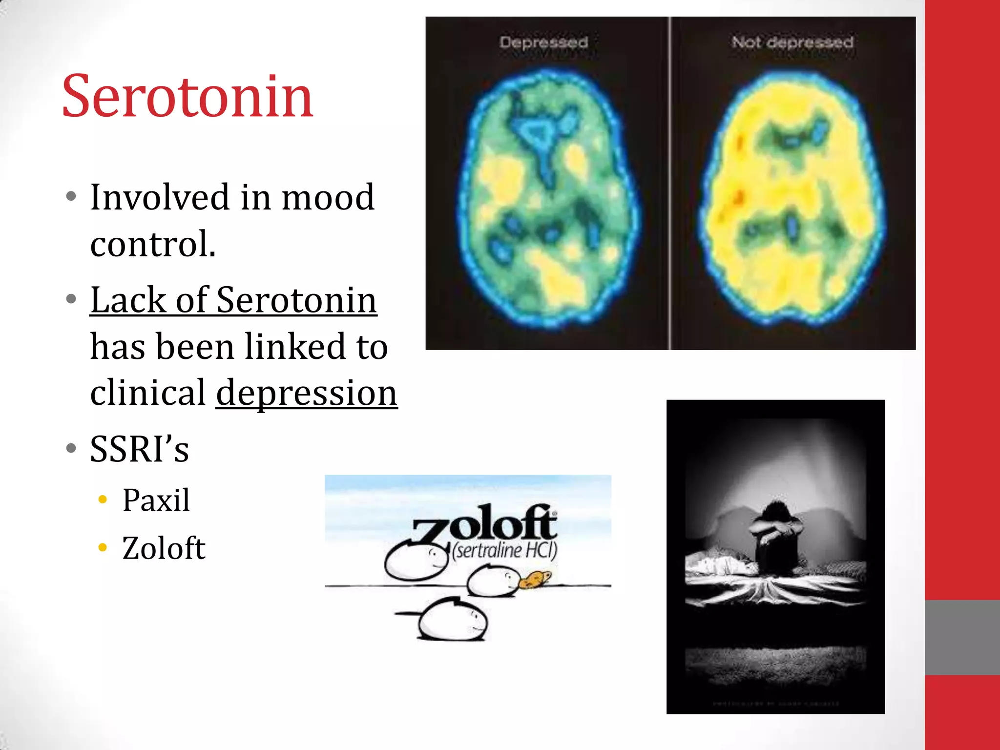 Serotonin
• Involved in mood
control.
• Lack of Serotonin
has been linked to
clinical depression
• SSRI’s
• Paxil
• Zoloft

 