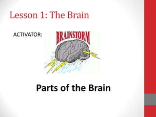 Lesson 1: The Brain
ACTIVATOR:

Parts of the Brain

 