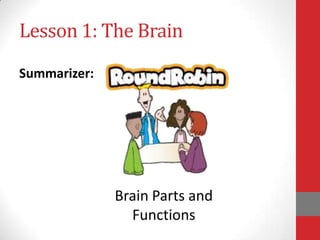 Lesson 1: The Brain
Summarizer:

Brain Parts and
Functions

 