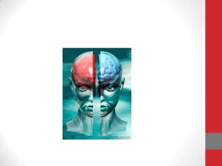 Unit 2 Biopsychology PowerPoint