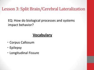 Lesson 3: Split Brain/Cerebral Lateralization
EQ: How do biological processes and systems
impact behavior?

Vocabulary
• Corpus Callosum
• Epilepsy
• Longitudinal Fissure

 