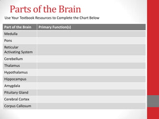Parts of the Brain
Use Your Textbook Resources to Complete the Chart Below
Part of the Brain

Medulla
Pons
Reticular
Activating System
Cerebellum
Thalamus

Hypothalamus
Hippocampus
Amygdala
Pituitary Gland
Cerebral Cortex
Corpus Callosum

Primary Function(s)

 