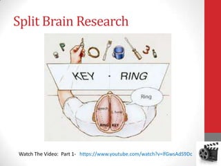 Split Brain Research

Watch The Video: Part 1- https://www.youtube.com/watch?v=lfGwsAdS9Dc

 