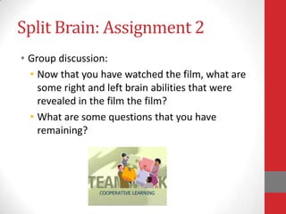 Split Brain: Assignment 2
• Group discussion:
• Now that you have watched the film, what are
some right and left brain abilities that were
revealed in the film the film?
• What are some questions that you have
remaining?

 