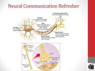 Neural Communication Refresher

 