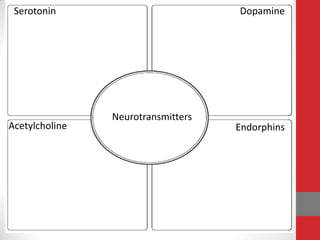 Serotonin

Acetylcholine

Dopamine

Neurotransmitters

Endorphins

 