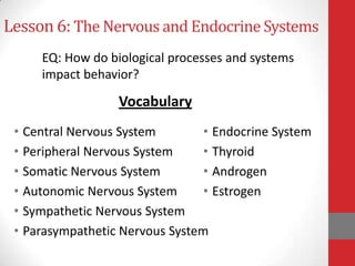 Lesson 6: The Nervous and Endocrine Systems
EQ: How do biological processes and systems
impact behavior?

Vocabulary
• Central Nervous System
• Endocrine System
• Peripheral Nervous System
• Thyroid
• Somatic Nervous System
• Androgen
• Autonomic Nervous System
• Estrogen
• Sympathetic Nervous System
• Parasympathetic Nervous System

 