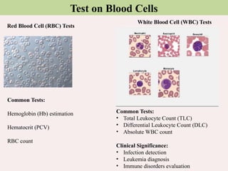 Rbc Diff Test Unit_2_BMI_Dr. Brijraj Singh Solanki.pptx