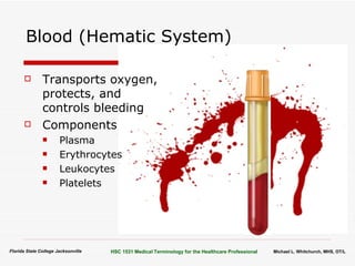 Body Organization Terminology | PPT