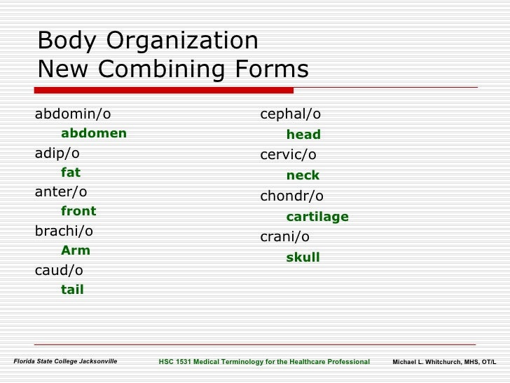 body organization terminology combining form that means cartilage