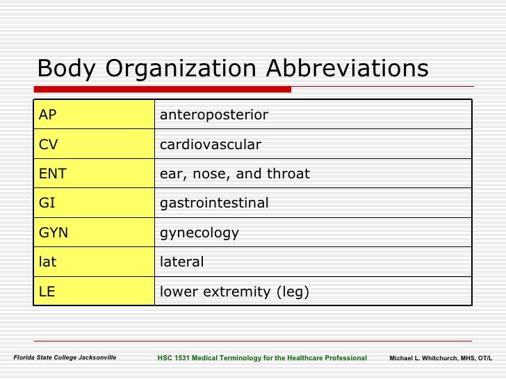 Body Organization Terminology