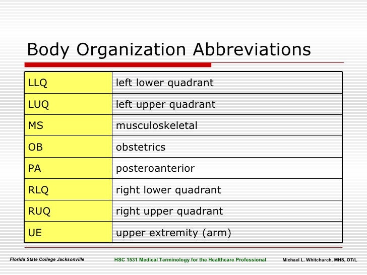 Body Organization Terminology