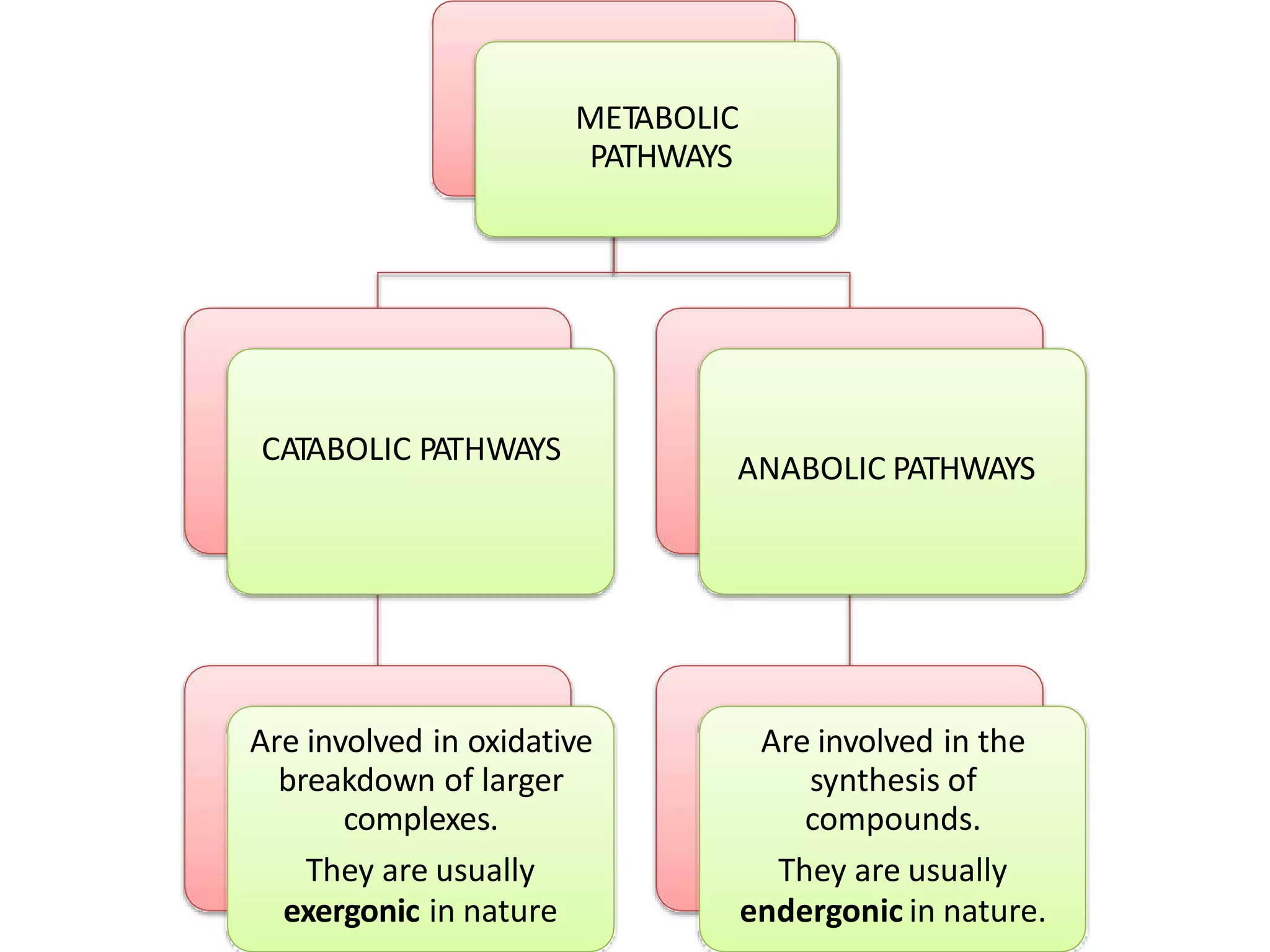 METABOLIC
PATHWAYS
CATABOLIC PATHWAYS
Are involved in oxidative
breakdown of larger
complexes.
They are usually
exergonic in nature
ANABOLIC PATHWAYS
Are involved in the
synthesis of
compounds.
They are usually
endergonic in nature.
 