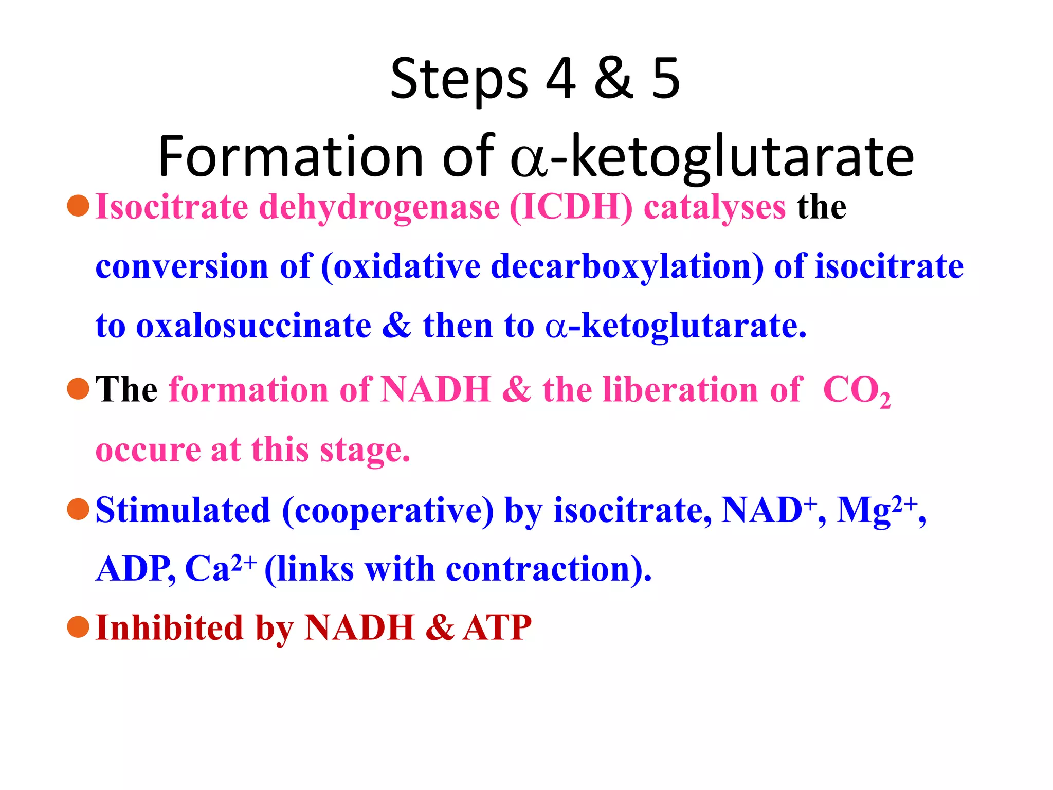 Steps 4 & 5
Formation of -ketoglutarate
⚫Isocitrate dehydrogenase (ICDH) catalyses the
conversion of (oxidative decarboxylation) of isocitrate
to oxalosuccinate & then to -ketoglutarate.
⚫The formation of NADH & the liberation of CO2
occure at this stage.
⚫Stimulated (cooperative) by isocitrate, NAD+, Mg2+,
ADP, Ca2+ (links with contraction).
⚫Inhibited by NADH &ATP
 