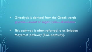 16
• Glycolysis is derived from the Greek words
glycose—sweet or sugar; lysis—dissolution.
• This pathway is often referred to as Embden-
Meyerhof pathway (E.M. pathway).
 