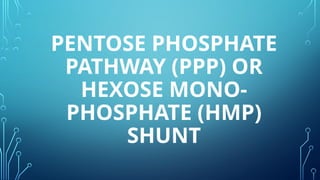 PENTOSE PHOSPHATE
PATHWAY (PPP) OR
HEXOSE MONO-
PHOSPHATE (HMP)
SHUNT
 