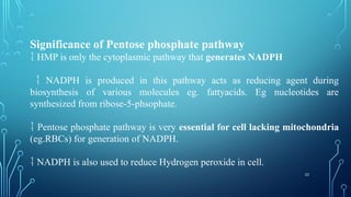 23
Significance of Pentose phosphate pathway
 HMP is only the cytoplasmic pathway that generates NADPH
 NADPH is produced in this pathway acts as reducing agent during
biosynthesis of various molecules eg. fattyacids. Eg nucleotides are
synthesized from ribose-5-phsophate.
 Pentose phosphate pathway is very essential for cell lacking mitochondria
(eg.RBCs) for generation of NADPH.
 NADPH is also used to reduce Hydrogen peroxide in cell.
 
