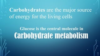 4
Carbohydrates are the major source
of energy for the living cells
Glucose is the central molecule in
Carbohydrate metabolism
 