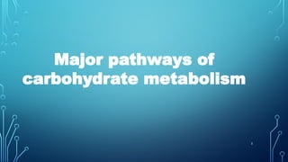 5
Major pathways of
carbohydrate metabolism
 