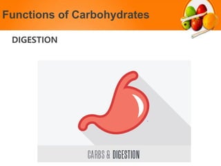 Functions of Carbohydrates
DIGESTION
 