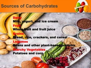 Sources of Carbohydrates
Dairy
Milk, yogurt, and ice cream
Fruit
Whole fruit and fruit juice
Grains
Bread, rice, crackers, and cereal
Legumes
Beans and other plant-based proteins
Starchy Vegetables
Potatoes and corn
 