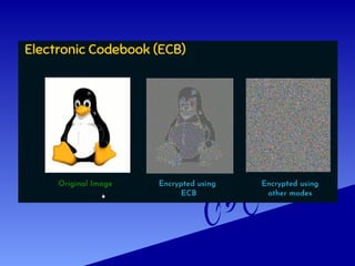 UNIT 2 CCS - PPT-SET 2 CONCEPTS (1) (1).pptx