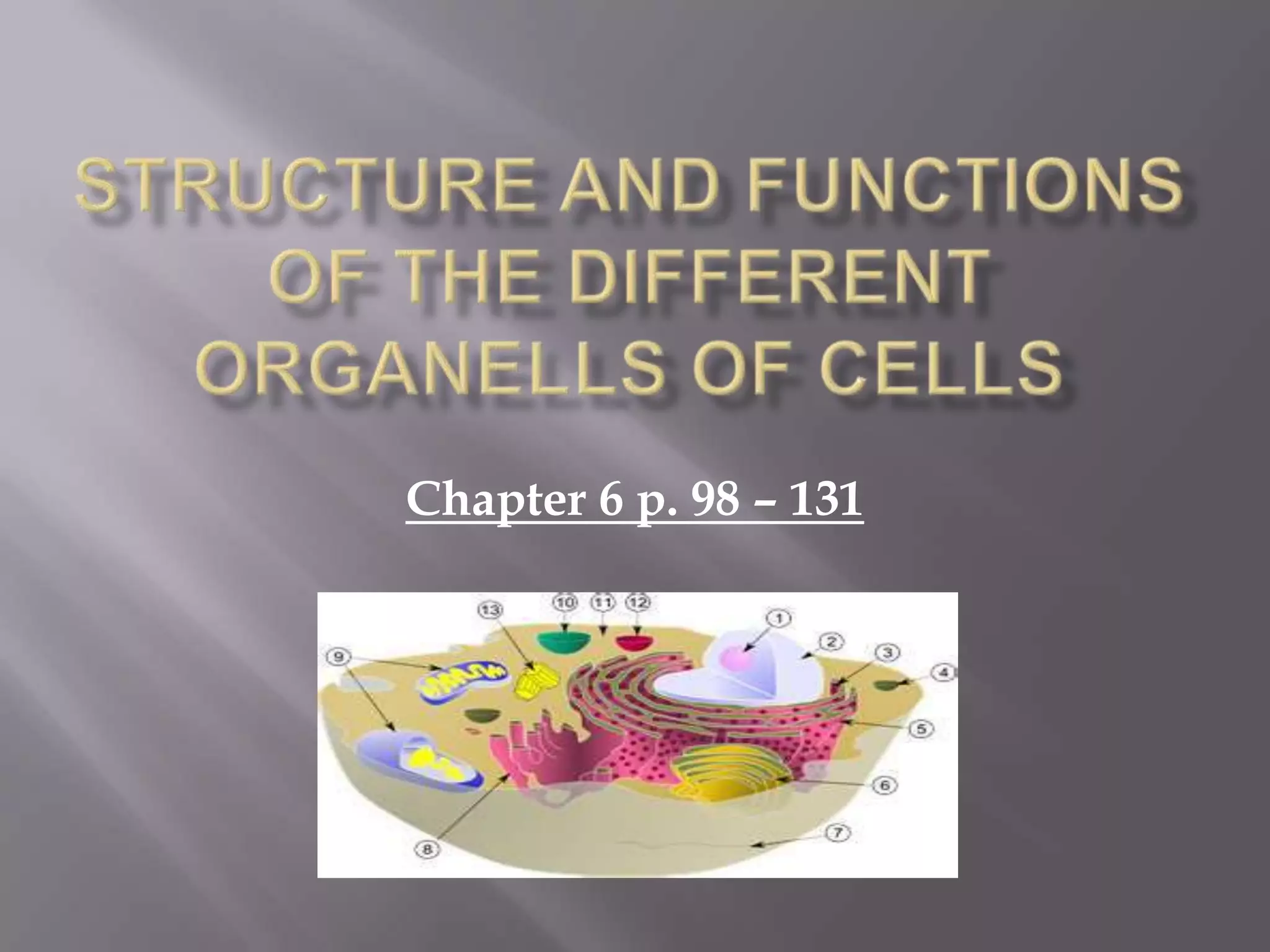 Chapter 6 p. 98 – 131
 