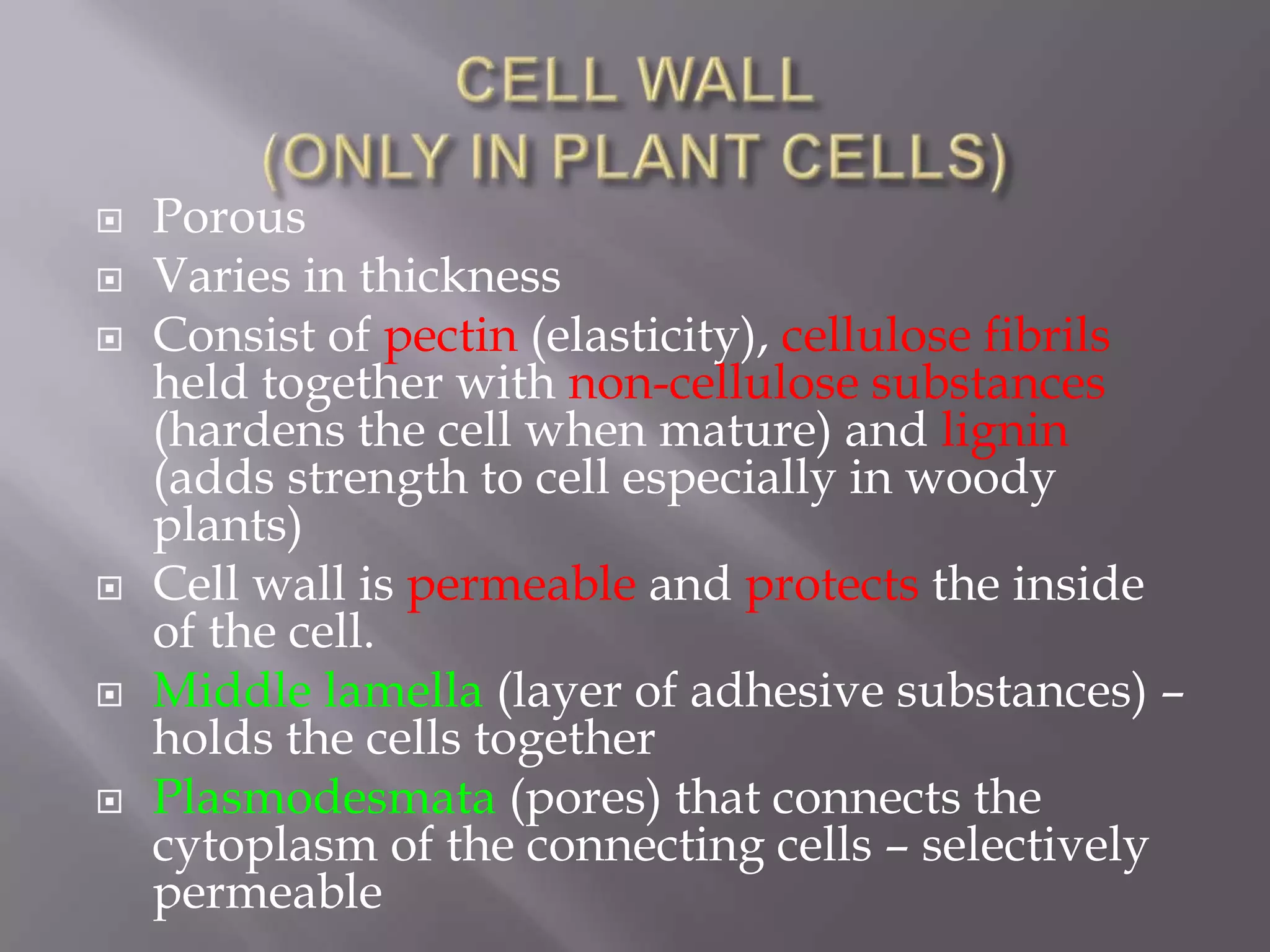    Porous
   Varies in thickness
   Consist of pectin (elasticity), cellulose fibrils
    held together with non-cellulose substances
    (hardens the cell when mature) and lignin
    (adds strength to cell especially in woody
    plants)
   Cell wall is permeable and protects the inside
    of the cell.
   Middle lamella (layer of adhesive substances) –
    holds the cells together
   Plasmodesmata (pores) that connects the
    cytoplasm of the connecting cells – selectively
    permeable
 