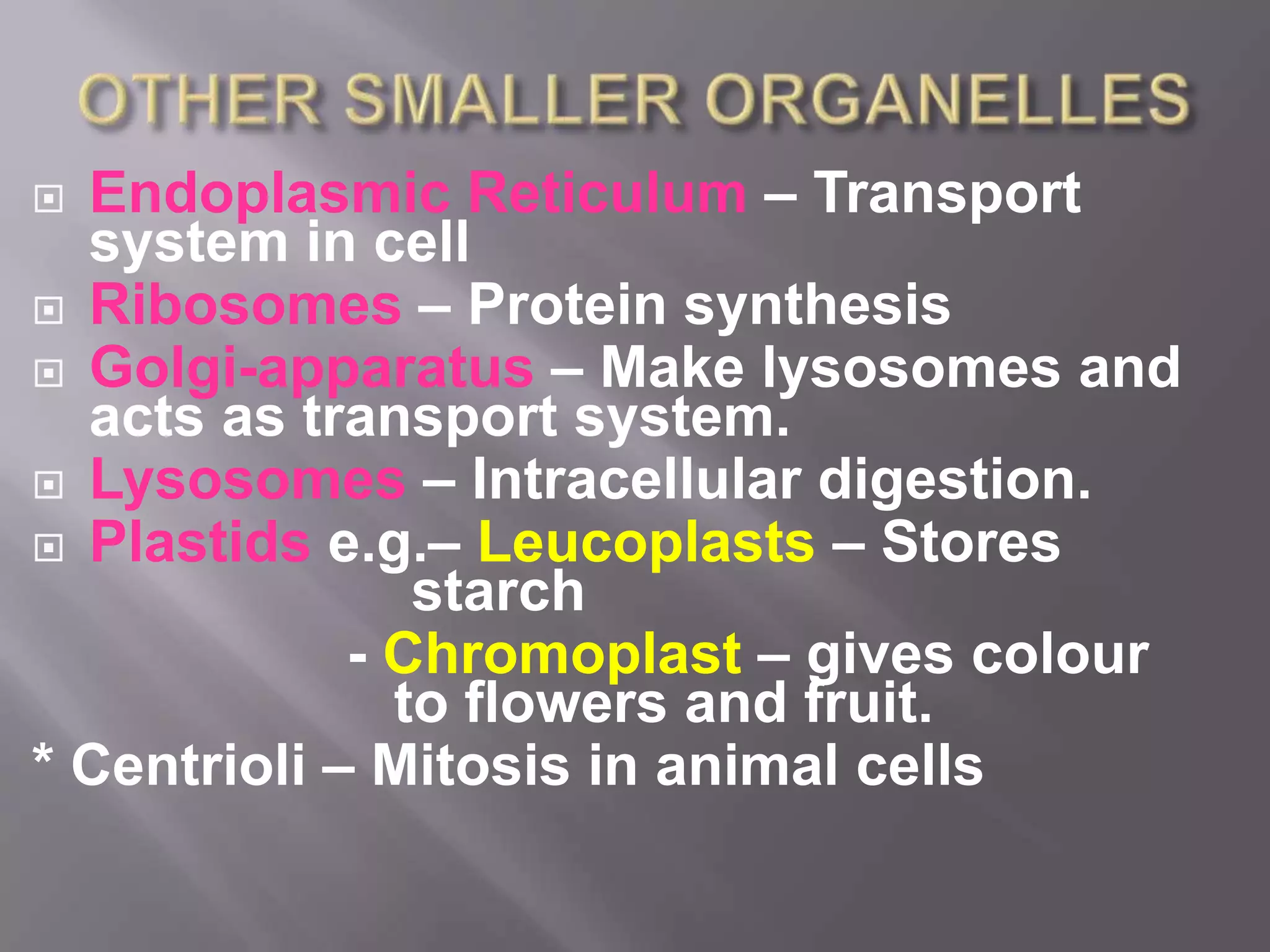  Endoplasmic Reticulum – Transport
  system in cell
 Ribosomes – Protein synthesis
 Golgi-apparatus – Make lysosomes and
  acts as transport system.
 Lysosomes – Intracellular digestion.
 Plastids e.g.– Leucoplasts – Stores
                starch
             - Chromoplast – gives colour
               to flowers and fruit.
* Centrioli – Mitosis in animal cells
 