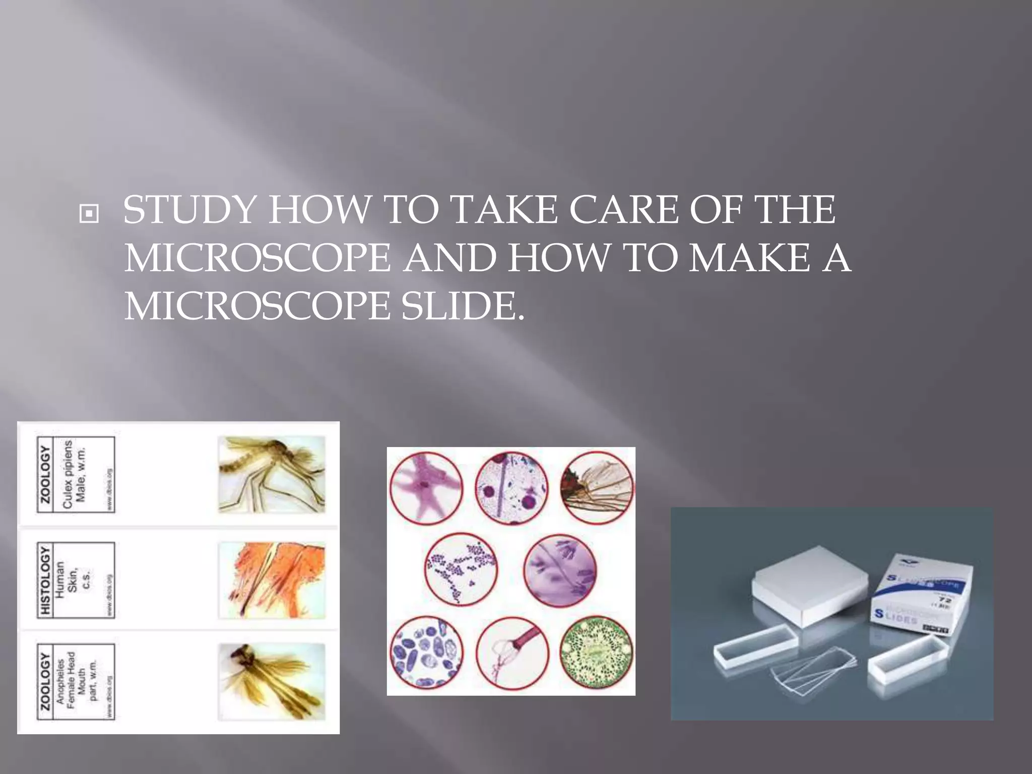    STUDY HOW TO TAKE CARE OF THE
    MICROSCOPE AND HOW TO MAKE A
    MICROSCOPE SLIDE.
 