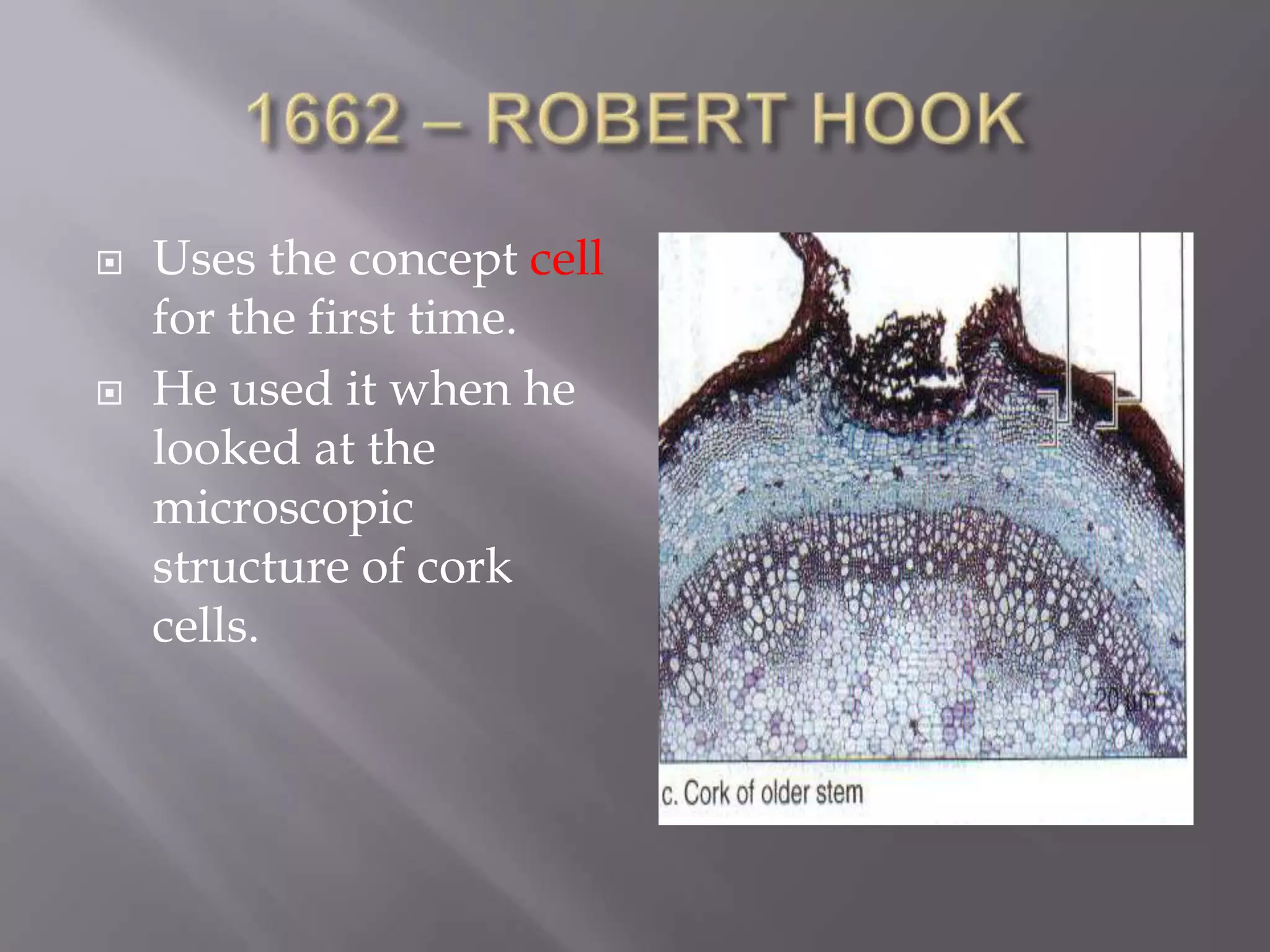    Uses the concept cell
    for the first time.
   He used it when he
    looked at the
    microscopic
    structure of cork
    cells.
 