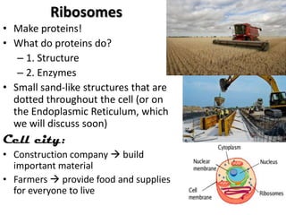 Unit 2 cells notes | PPTX