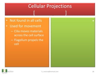 Unit 2 Cells, Tissues & Membranes | PPTX