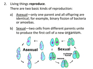 Unit 2 Characteristics of cells lesson week 7and 8.pptx
