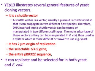 Unit 2 class 5 Yeast cloning vectors,.pptx